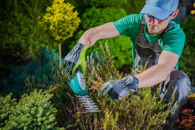landscaping services Fairview Park